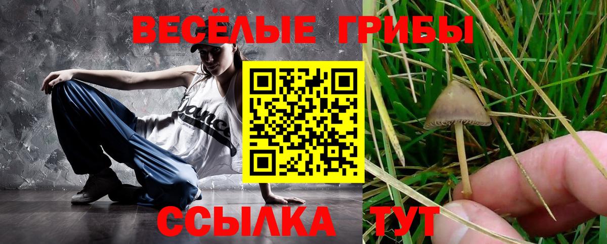 Дзержинский  Галлюциногенные грибы GOLDEN TEACHER  Галлюциногенные грибы мицелий  Вход с VPN 
